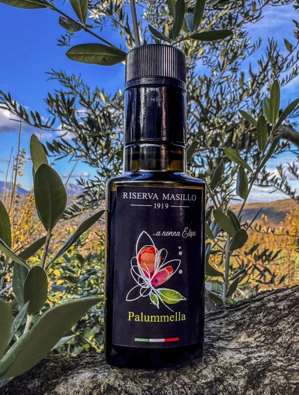 Palummella - immagine 2