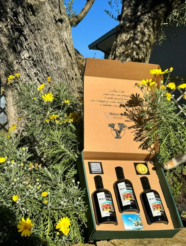 Adotta un ulivo